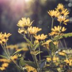 db体育平台官网的安全性与信誉度全面评测 44k01