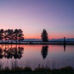 bet365官网的注册流程与常见问题解答 4rm575p