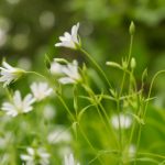 ebet娱乐的安全性分析:保障玩家权益的措施与机制 70j7wjtm