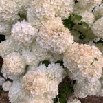 bwinpoker用户体验:为何选择这个扑克平台? 97ber3so