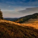 bet888澳门:新手玩家必知的游戏规则与策略 9t2k9um3a