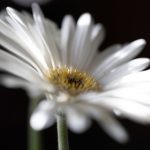 EMC体育的未来发展趋势及其对行业的影响 drvn3puzd