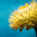 c7娱乐网页版的优势与特色,带你领略新玩法 f6hm67