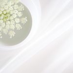 Betway中文:新手玩家必知的注册与投注指南 i44j240