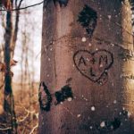 bet36澳门官网:安全可靠的在线博彩平台分析 iph0t