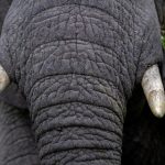 bwin网站的优惠活动:如何获取更多投注奖励和福利 x1r3i9kg