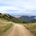 354开奖号前后走势深度解析与预测 4lujhhr