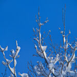 1500米自由泳决赛直播:见证世界纪录诞生的巅峰时刻 54xor4n