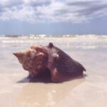 358开奖结果与号码之间的规律关系探析 5nhtr6r