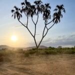 142期开奖信息公布,最新中奖号码全面揭晓 br6b01y2x5