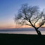 145期大乐透开奖结果公布:大奖花落谁家引关注 dctc2t1