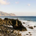 349期开奖前后号码走势深度解析 f27dr