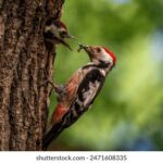 15039期足彩开奖结果揭晓:大奖花落谁家? vsxrdh6dej