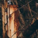 147期开奖结果正式公布,大奖花落谁家引关注 ytiirvqbob